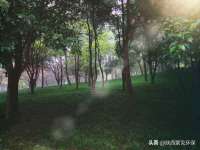 北京辉夜鼎网络科技有限公司