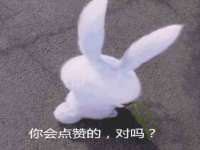 北京辉夜鼎网络科技有限公司