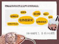 北京辉夜鼎网络科技有限公司
