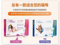 北京辉夜鼎网络科技有限公司