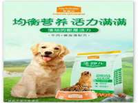 北京辉夜鼎网络科技有限公司