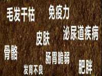 北京辉夜鼎网络科技有限公司