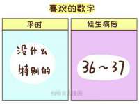 北京辉夜鼎网络科技有限公司