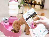北京辉夜鼎网络科技有限公司