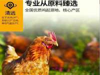 北京辉夜鼎网络科技有限公司