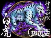 北京辉夜鼎网络科技有限公司