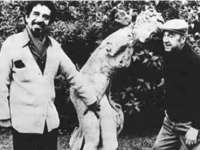 北京辉夜鼎网络科技有限公司