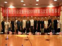 北京辉夜鼎网络科技有限公司