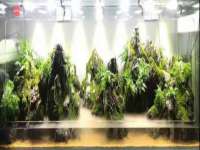 北京辉夜鼎网络科技有限公司