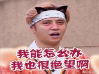 北京辉夜鼎网络科技有限公司