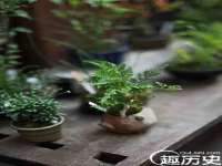 北京辉夜鼎网络科技有限公司