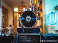 北京辉夜鼎网络科技有限公司