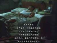 北京辉夜鼎网络科技有限公司