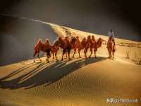 北京辉夜鼎网络科技有限公司