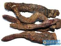 北京辉夜鼎网络科技有限公司