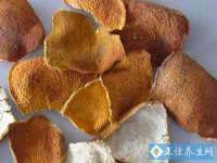 北京辉夜鼎网络科技有限公司