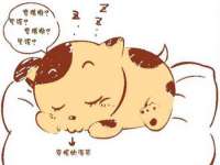 北京辉夜鼎网络科技有限公司