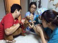 北京辉夜鼎网络科技有限公司