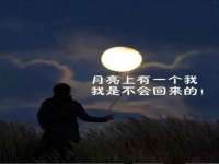 北京辉夜鼎网络科技有限公司