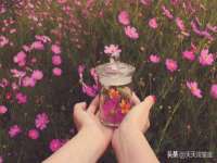 北京辉夜鼎网络科技有限公司