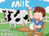 北京辉夜鼎网络科技有限公司