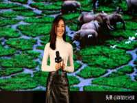北京辉夜鼎网络科技有限公司