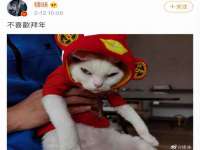 北京辉夜鼎网络科技有限公司