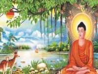 北京辉夜鼎网络科技有限公司