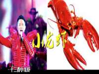 北京辉夜鼎网络科技有限公司