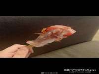 北京辉夜鼎网络科技有限公司